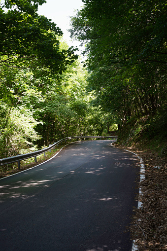 Road to Altipiani di Arcinazzo, in Frosinone province, Lazio, Italy, at summer