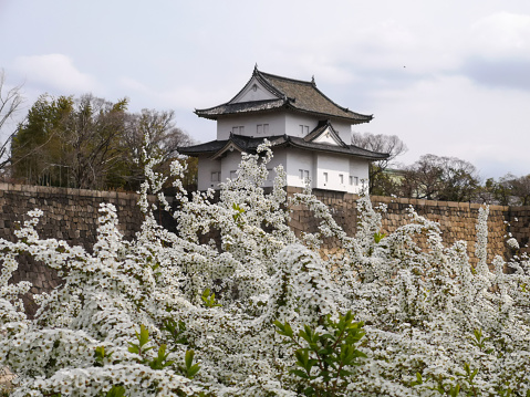 Osaka, Japan - March 28, 2019: Osaka castle, famous sightseeing spot, historical landmark in spring