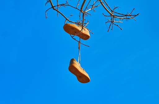 Shoes hanging in a tree