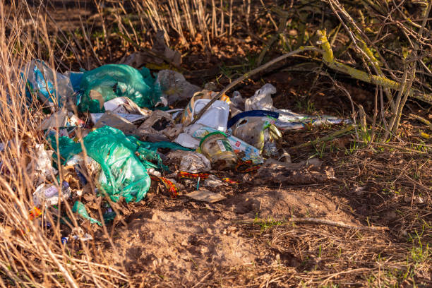 istock Illegal garbage disposal at the edge of the field 1386241606