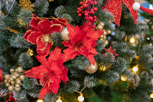 Red Poinsettia Christmas star artificial decoration on a Christmas tree branch. Festive sparkling background for design