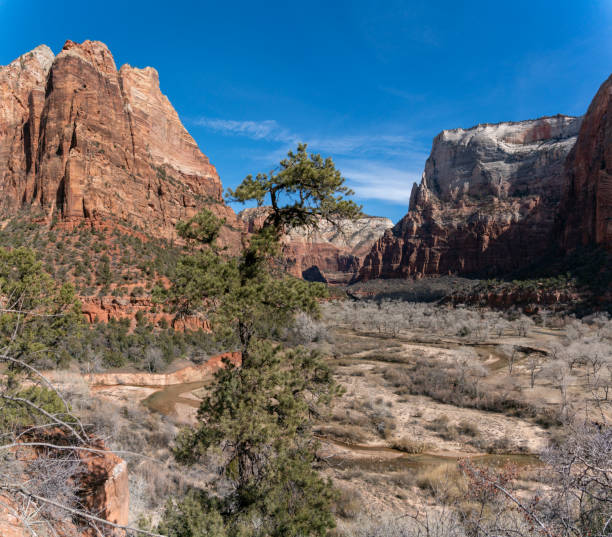 vue sur la vallée de zion entourée de grandes montagnes pendant une journée ensoleillée - flattop mountain photos et images de collection