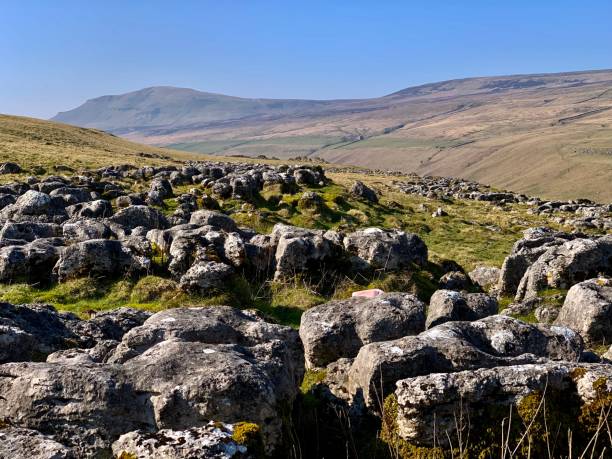 pen-y-ghent from stainforth track - north yorkshire stok fotoğraflar ve resimler