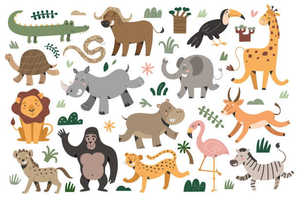 ilustrações de stock, clip art, desenhos animados e ícones de african animals collection, smiling giraffe, jumping zebra and laughing elephant, jungle and safari animals with facial expressions - safari animals africa animals in the wild hippopotamus