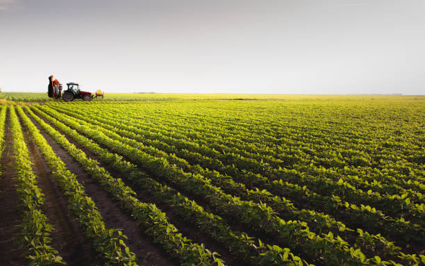 tractor de campo de soja de rociadura en primavera - granja fotografías e imágenes de stock