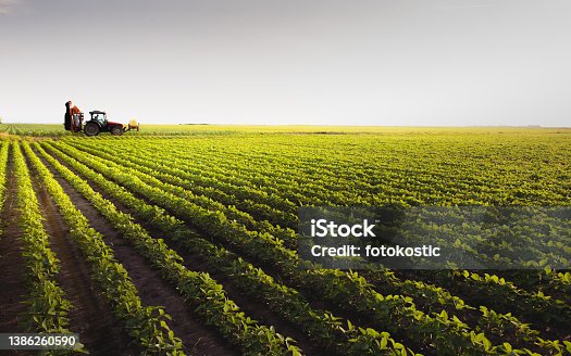 istock Tractor spraying soybean field at spring 1386260590