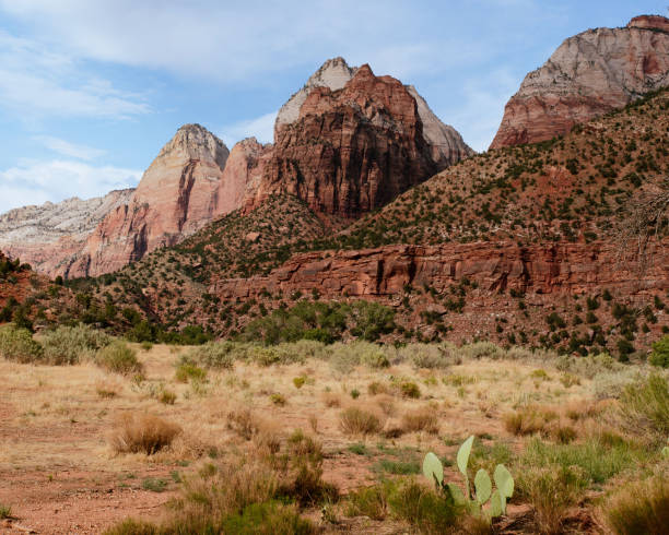 istock Zion National Park canyons 1386260591