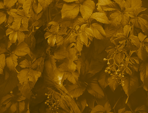 Double exposure: profile of beautiful woman and Virginia creeper leaves, colored with sepia tone.