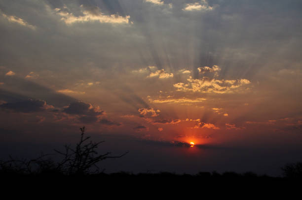 istock Sunset in Etosha National Park, Namibia 1386273762