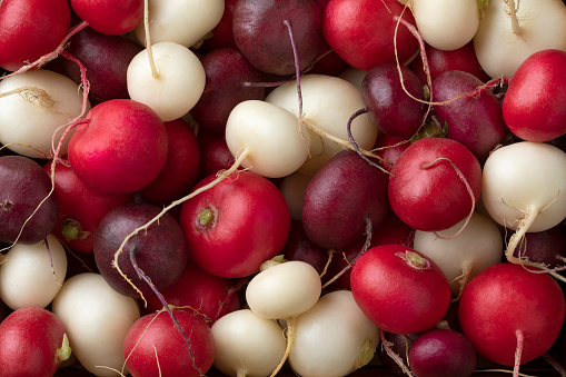 Variety of fresh colorful radish close up full frame as background