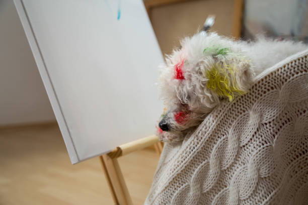 A dog painted with colored paints