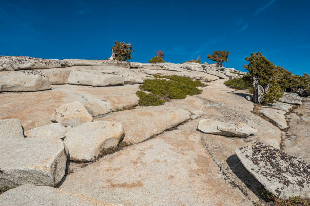 Granite forms plutons of igneous rock several kilometers below the surface as magma slowly cools and crystallizes. Then, granite is uplifted to the surface during a mountain-building event. During the mountain building process, the overlying rock is eroded as the granite is uplifted, and the pressure on the granite reduced. The granite expands and forms fractures or sheet joints parallel to the surface. The granite then erodes in concentric layers forming rounded masses called exfoliation domes. Exfoliation joints or sheet joints are surface-parallel fracture systems in rock often leading to erosion of concentric slabs. el granito forma plutones de roca ígnea a varios kilómetros por debajo de la superficie a medida que el magma se enfría y cristaliza lentamente. luego, el granito se eleva a la superficie durante un evento de construcción de montaña. durante el proce