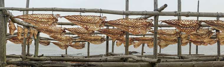 A traditional fish dryer in the town of Muxía on the coast of Spain.