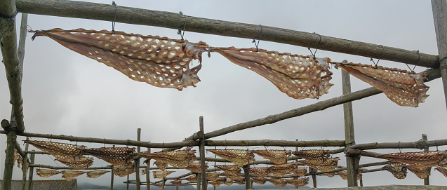 A traditional fish dryer in the town of Muxía on the coast of Spain.