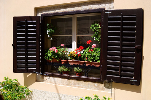 Window of a house with flowers