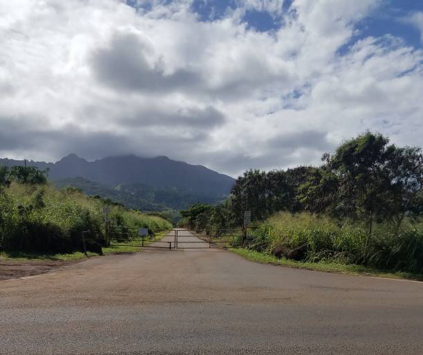 istock Forests and mountains of Hawaii 26 1386285967
