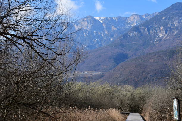 South Tyrolean Unterland Stock Photos, Pictures & RoyaltyFree Images