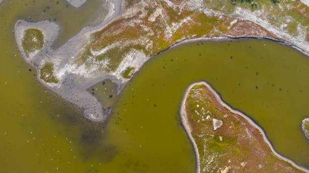 istock Salt marsh and coastline  - aerial view 1386287664