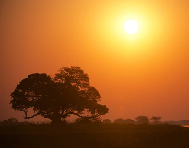 istock Beautiful Zambia pictures 1386288306