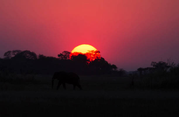 istock Beautiful Zambia pictures 1386288352