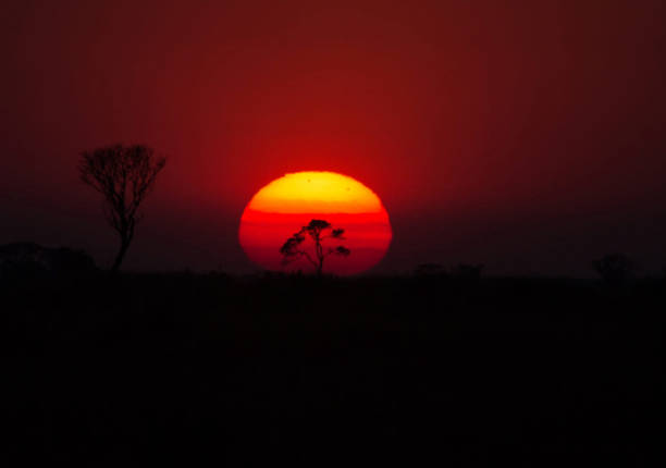 istock Beautiful Zambia pictures 1386288377