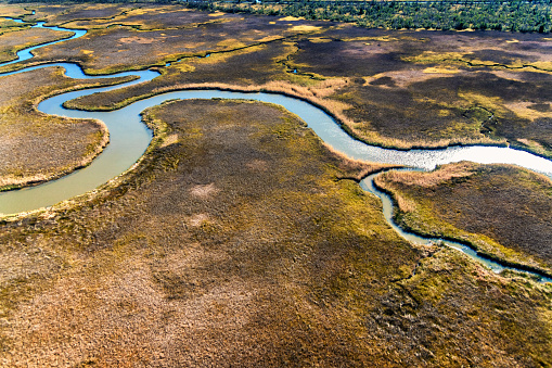 Rivers winding through a wilderness swampy grassland in the northwestern panhandle of the state of Florida near Pensacola shot aerially from an altitude of about 1000 feet.