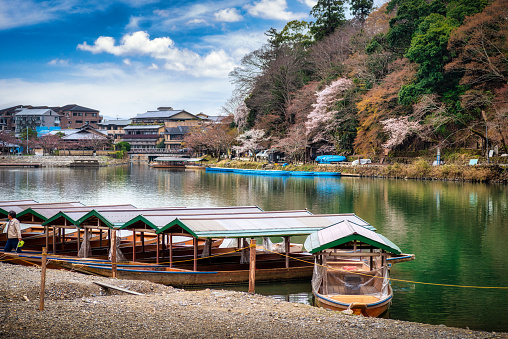 30 march 2019 - Kyoto, Japan: Kyoto Arashiyama with boats at katsura river side during sakura cherry blossom