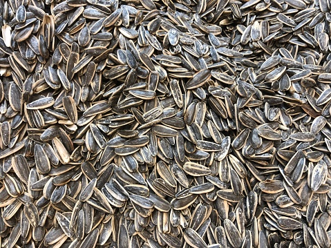 Pile of whole sunflower seeds isolated on white background.