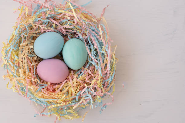istock View from above. Nest with colorful Easter eggs. There is space for text. Pastel shades 1386307528