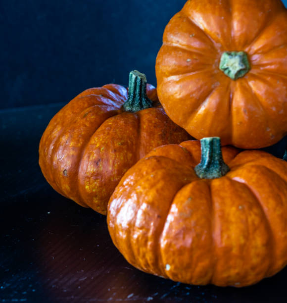istock Mini pumpkins on a black background. Calgary, Alberta, Canada 1386312260