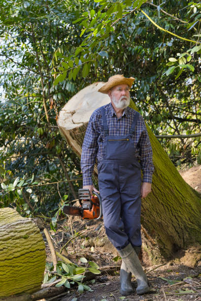 istock Elderly woodsman with his chainsaw 1386312379