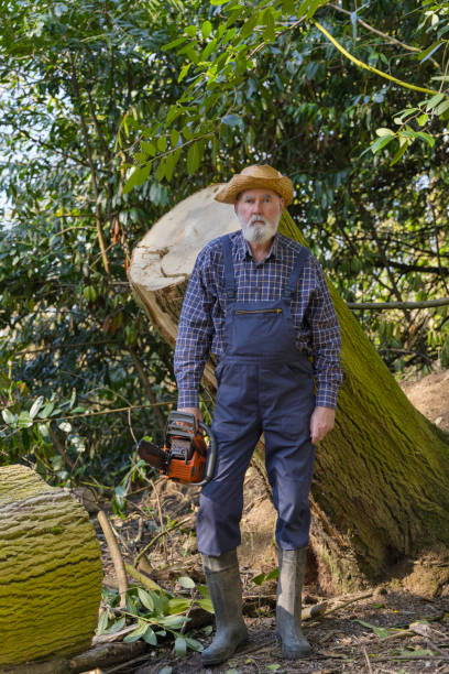 istock Elderly woodsman with his chainsaw 1386312959