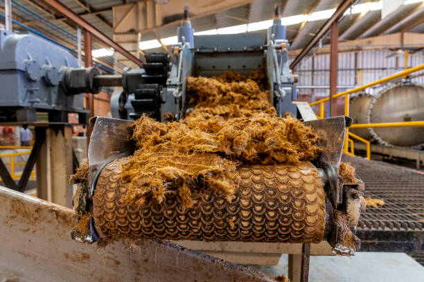 istock Tequila and Mezcal  production factory distillery 1386313137