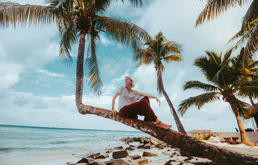Young adult blond woman on a beautiful tropical beach sits on a palm tree