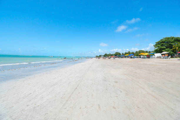 istock Barra Grande beach, Maragogi AL Brazil 1386315328