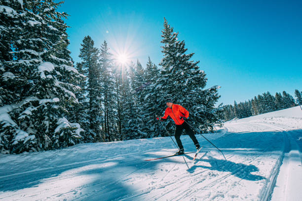 Wide Angle Shot of a Cross-Country Skate Skier Skiing in a V1 Formation Along a Groomed Trail on a Clear, Sunny Day in the Grand Mesa National Forest in Colorado stock photo