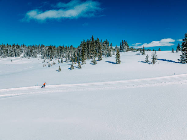 Wide Angle Aerial Shot of a Cross-Country Skier Skiing and Practicing "Diagonal Stride" Method on a Groomed Trail in the Grand Mesa National Forest in Colorado stock photo