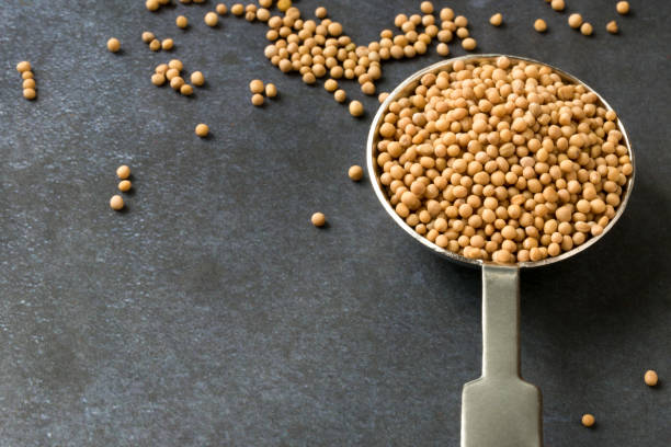 istock Yellow Mustard Seeds Spilled from a Teaspoon 1386370902