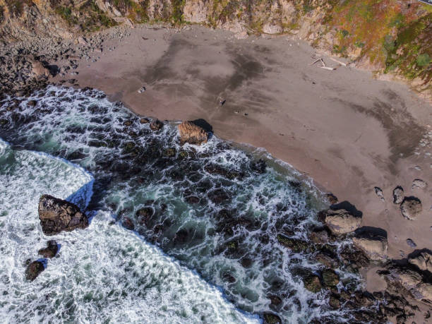 istock Drone view of Sonoma coast, California. 1386375907
