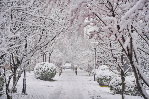 istock Beautiful cityscape in Snow 1386377631