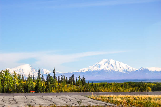 istock Mount Drum - View From the Airport 1386382410
