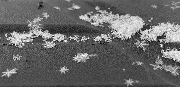 Snow flakes show their fragility as they gently fall to the rough surface. Some of the flakes manage to hold together and show off their crystal formations.