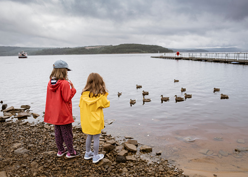 Two little girls are standing at a lake watching the ducks swimming
