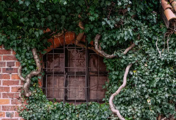 Photo of Window of an old brick country house in England