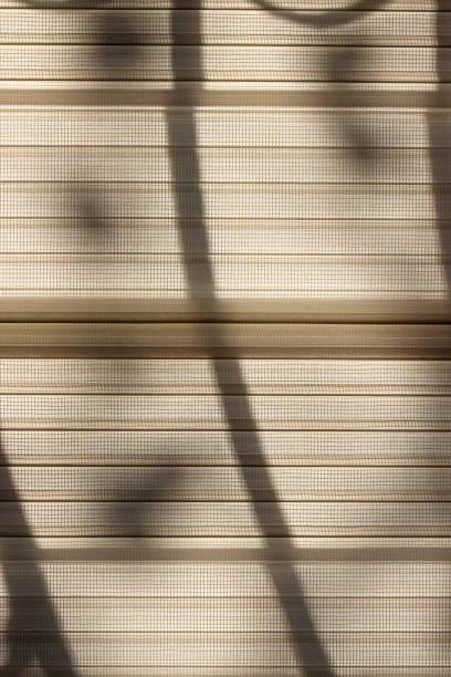 istock shadows in the roller blind on the window of a house 1386400151