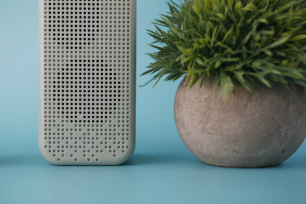 istock smart speaker and a plant on light green background 1386401010