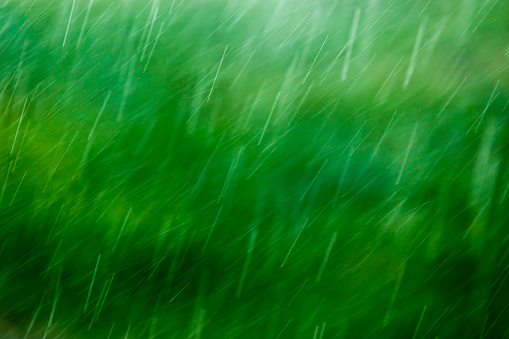 blurry falling raindrops on green background with selective focus - full frame telephoto view, shot on 168 mm at one hundredth of a second