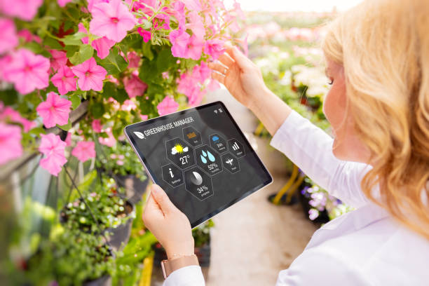 istock Woman using smart tech on tablet computer for greenhouse plant management 1386405693