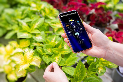 Woman using phone app for greenhouse plant management