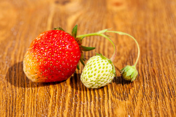 ripe red strawberries are used for making desserts, red strawberries in cooking